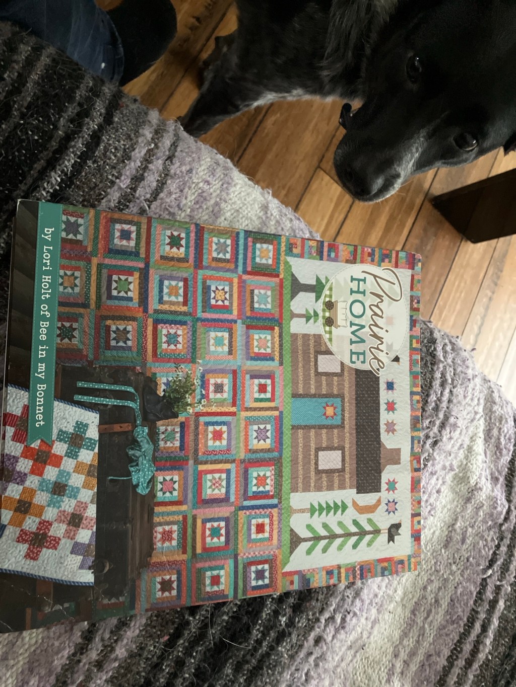 Protected: Friends and Private&nbsp;Lessons